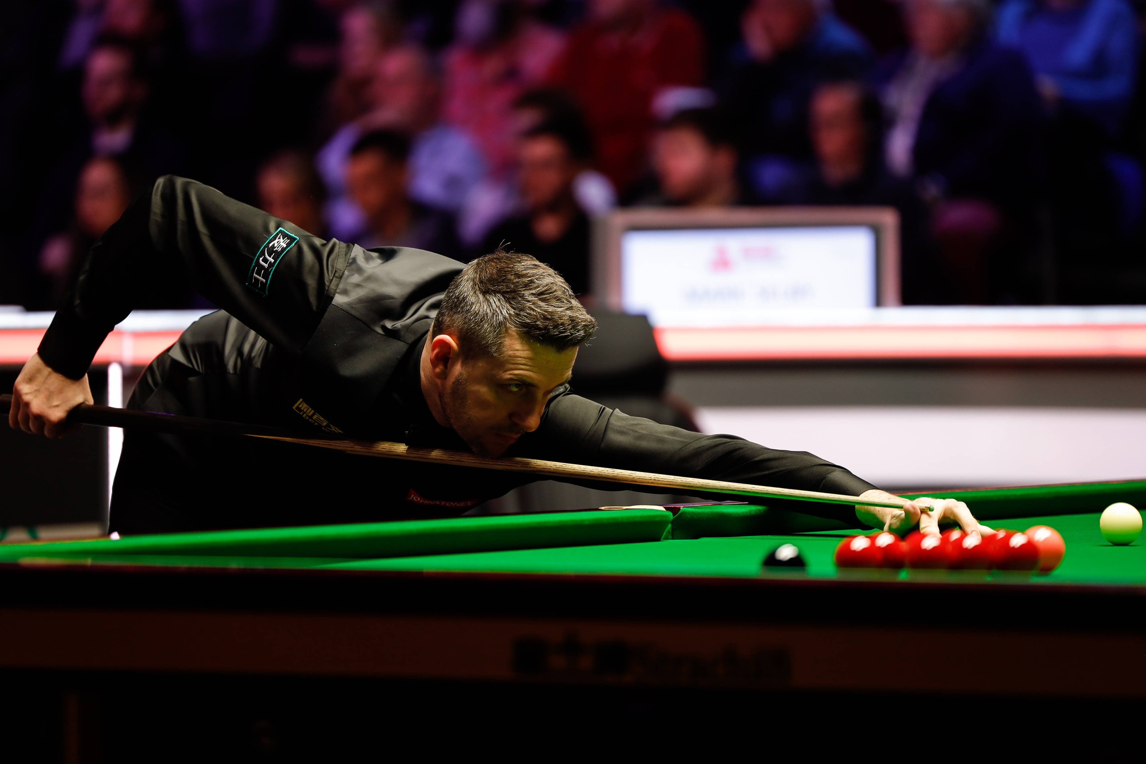 正是他们希 正是他们希