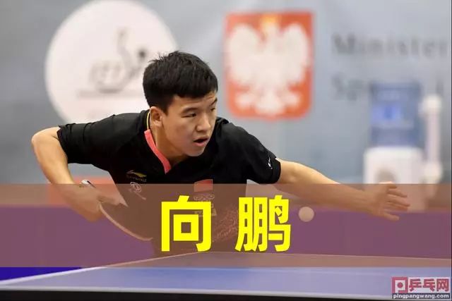 最终成为球 最终成为球