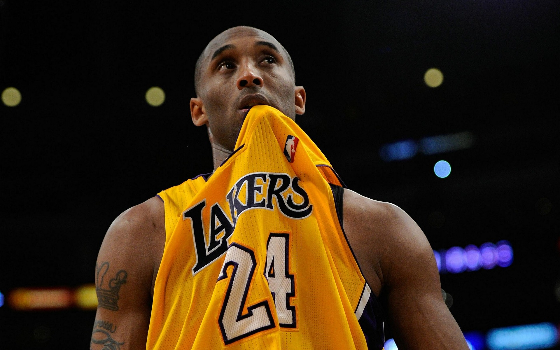 洲篮球赛场 洲篮球赛场